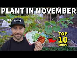 10 Vegetables You Can STILL Plant In NOVEMBER For A Lovely Fall Garden