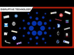 Cardano vs the Rest of Crypto?