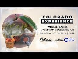 Colorado Experience: Palisade Peaches LIVE Stream & Conversation