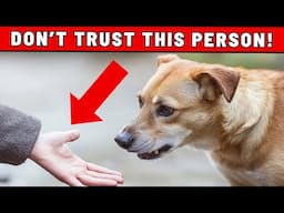 How Your Dog Can Recognize and Warn You About Bad People in Your Life