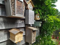 Some interesting new guests checking in to my bee hotels