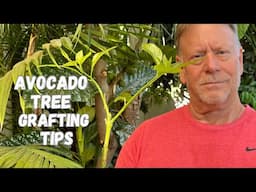 Avocado Grafting Tips - 10 Minute Grafting lesson