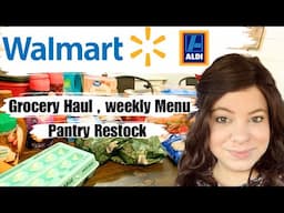 Walmart and Aldi Grocery Haul | Family of 4 | Meal Plan and Pantry Restock | Sunday Reset