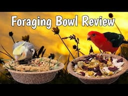 A&E Cage Company Vitapol Vita Line Bird Coconut and Millet Salad Bowls Review