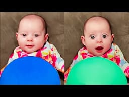 Try Not To Laugh: Funniest Reactions Babies Play Toys - Cute Baby Videos  || Cool Peachy🍑