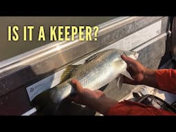 Ep 353 | Can We KEEP IT? Superb BARRA Fishing at Red Cone Bay, Kimberley, Sailing Nutshell