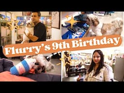 My Shih Tzu's 9th Birthday | Birthday dinner and Birthday Shopping Haul