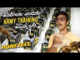 Bees Army Training 😮 | Top 6 Amazing & Interesting Facts | Telugu Facts