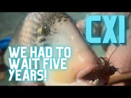 Fly Fishing Christmas Island - We Finally Got To Go Back! - 2024 part 1