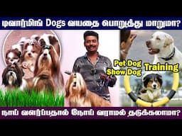 Shih Tzu Dog | சிட்ஷு நாய் Guardingக்கு ஏற்ற வகை நாய்களா?🐶🐾 | Dog Training in Tamil | Dog Deworming