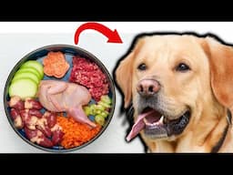 The Benefits of Raw Diet for Dogs - A Comprehensive Guide