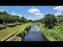 Live Tokyo Morning Walk