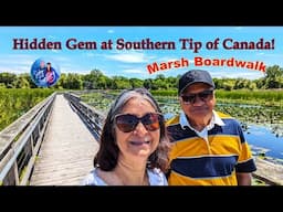 Hidden Gem at Southern tip of Canada : Marsh Boardwalk | Point Pelee National Park | Ontario