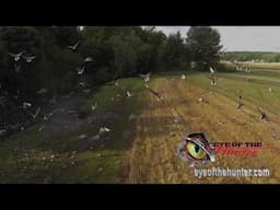 Drone flies with ducks!