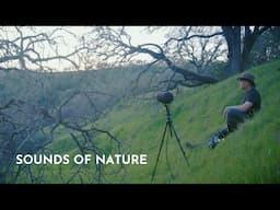 Soundscape Ecology | Climate California