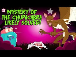 Is The Chupacabra Actually Real? | El Chupacabras | The Mysterious Creature | Halloween Monsters