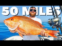 Fishing 50 Miles Offshore for Red Snapper & Grouper (Tampa Bay, Florida)