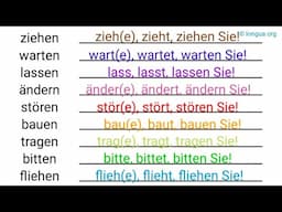 A1, A2, B1 - Deutsch lernen, Deutsche Grammatik, Präposition, #zu #mit #der #deutschlernen #dativ