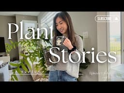 Calming Vlogs | Plant Stories ep 1 - hoya blooms, plants I haven't shown, water pH, plant chores