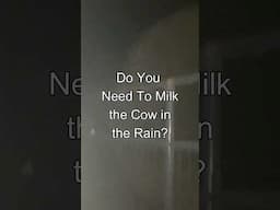 ⛈️ Do You Still Milk The Cow If It’s Raining?