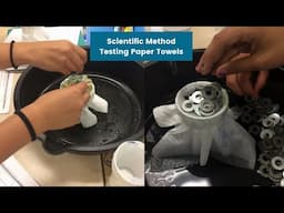 Understanding the Scientific Method: Paper Towel test experiment