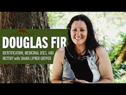 How to Identify Douglas Fir + Uses and Benefits with Herbalist Shana Lipner Grover