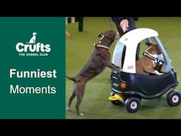 Funniest Moments & Bloopers | Crufts 2023