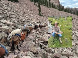 Utah High Uinta Mountains Horse Pack & Fishing Trip