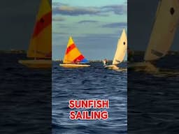 Sunfish Sailing and racing at Wet Pants Sailing Sayville, NY