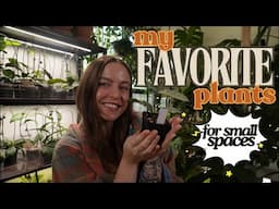 FAVORITE plants for SMALL SPACES | Making room for more houseplants!