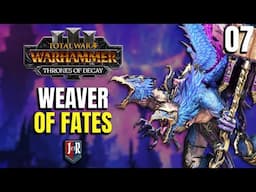 THE WEAVER OF FATES - Kairos Fateweaver Tzeentch - Thrones of Decay -  Total War: Warhammer 3 #07