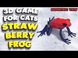 3D game for cats | The strawberry poison frog (isometric view) | 4K, 60 fps, Stereo sound