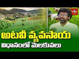 Forest Farming: అటవీ వ్యవసాయ విధానంలోమెలకువలు | hmtv Agri