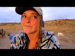 Life Off The Grid | VanLife meets Homesteading