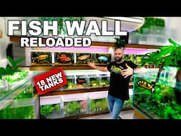 BUILDING 18 TANKS IN 2 DAYS | FISH WALL REVAMP