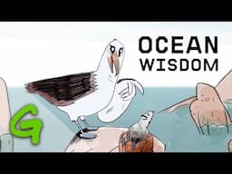 Wisdom's wise words on ocean protection - Greenpeace