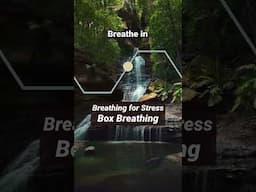 Breathing for Stress: Box Breathing (4-4-4-4)