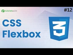 CSS Flexbox | CSS Course for Beginners