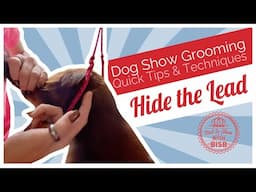 Dog Show Grooming: How to Bury the Collar