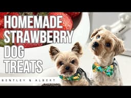 Keep Your Dog Cool with Homemade Strawberry Treats: A Step by Step Guide