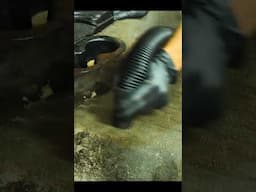 Super Satisfying Vacuuming A Disgusting Car