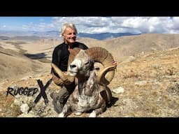 Altai Argali of Mongolia