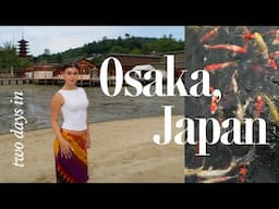 Osaka Japan vlog (BEST FOOD, vintage shopping, + more)