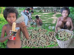 Harvest Tamarind Goes to market sell - Smart Boy Harvesting