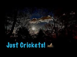 Just Crickets at Night~ASMR Special request (No talking only)