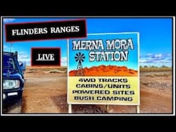 Merna Mora Station Q&A Live - [ Flinders ranges ]