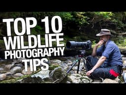 TOP 10 WILDLIFE PHOTOGRAPHY TIPS you must follow! how to become better wildlife photographer