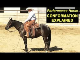 Performance Horse Conformation Explained - Training For Reining & Cutting Horses