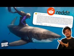 Did Ocean Ramsey REALLY Call Me OUT on Reddit?