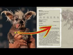 The World’s Ugliest Dog Made into a D&D Monster